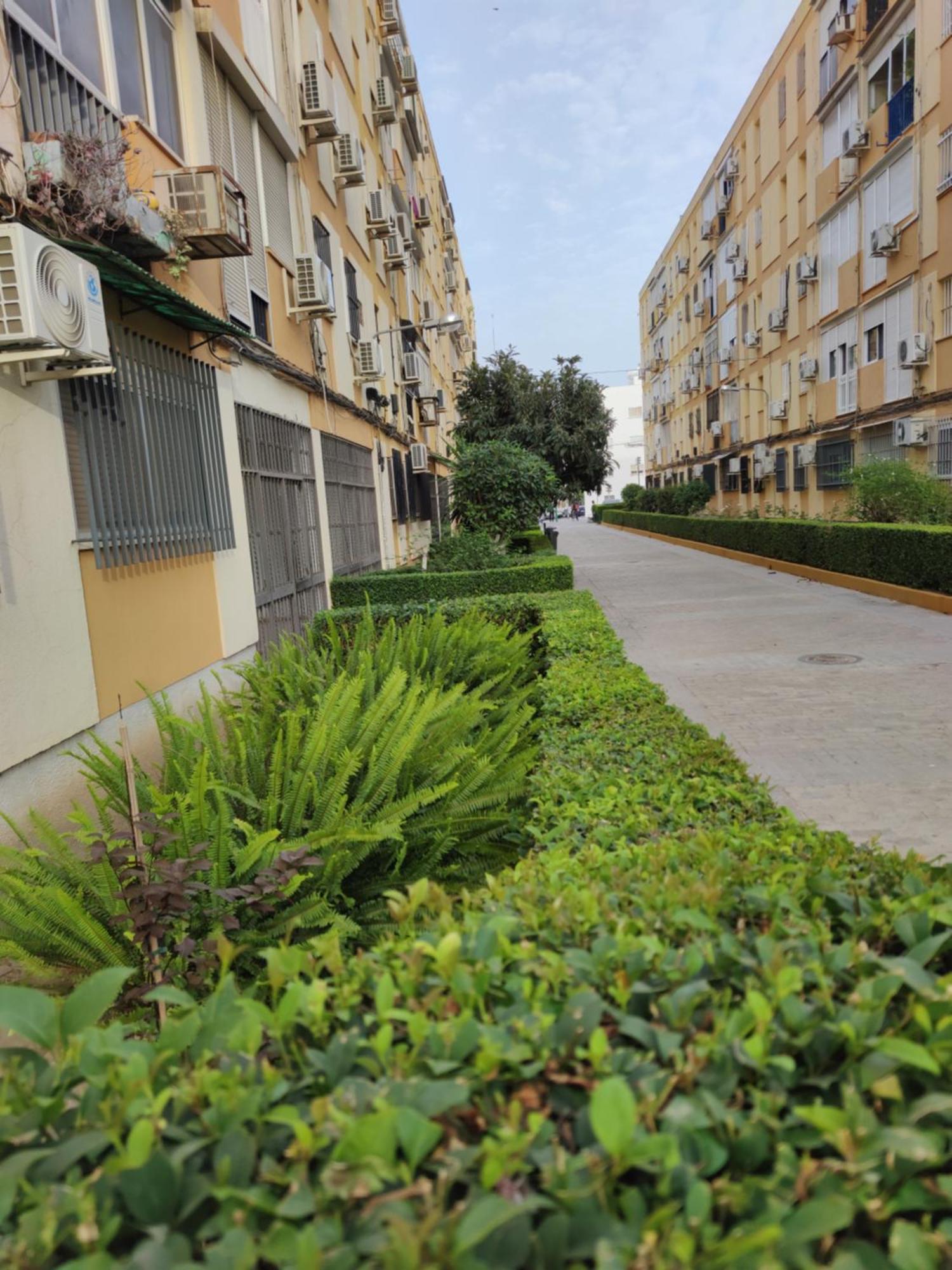 Apartamento Celia Σεβίλλη Εξωτερικό φωτογραφία